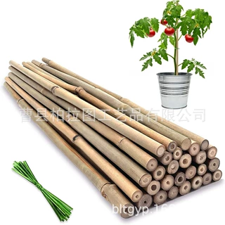 植物支撑杆，46cm长 ，天然竹制，共 20 根，用于植物固定支撑