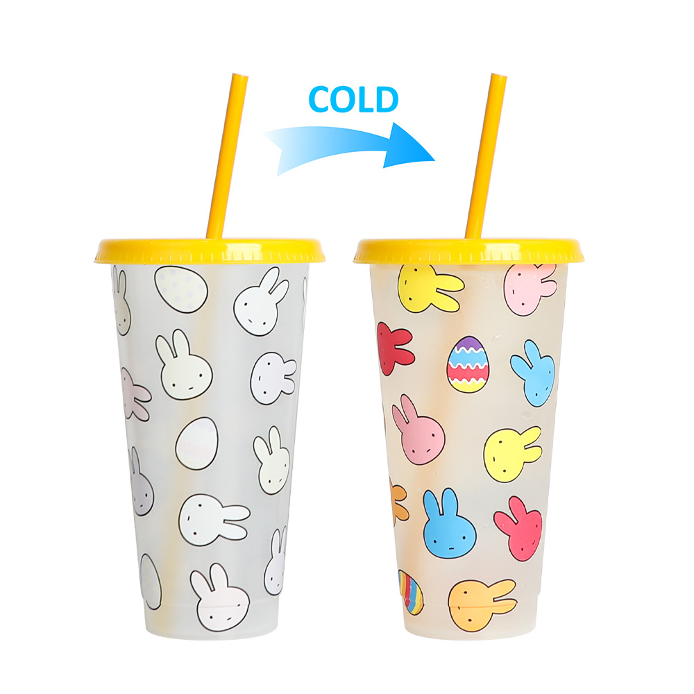 Spot transfronterizo de 710ml taza de plástico de color frío de gran capacidad PP taza de té con leche bebida fría con taza de paja con fábrica de inspección NBCU
