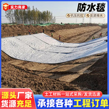 膨润土防水毯环保工程防渗防漏防水毯垃圾填埋场污水处理厂防水毯