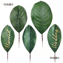 Y~~Ƭ漈~mzƬ廨^z̫