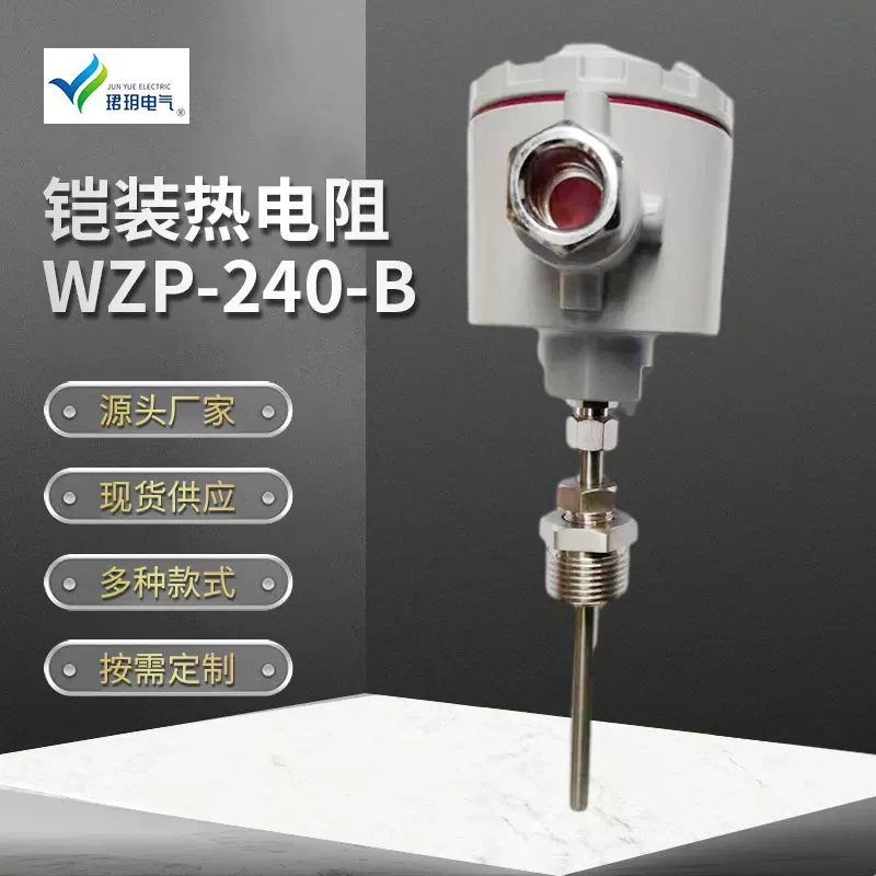 铠装热电阻WZP-240-B耐腐隔爆型PT100温度传感器工业热电偶数显