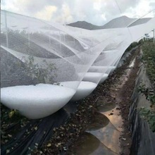 宜豪美牌跨境供应双线聚乙烯编织网菱形防雹网大棚防雹网