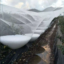 防虫网;防雹网;铝丝网