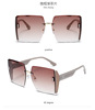 Fashionable sunglasses, 2023 collection, internet celebrity