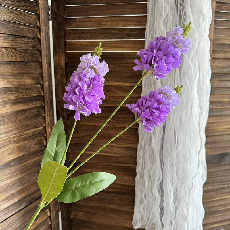 라벤더 퍼플 3개