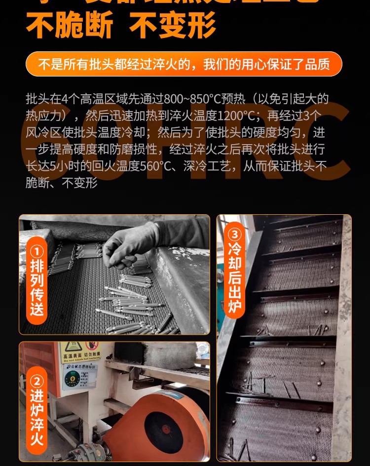 XQ (10).jpg
