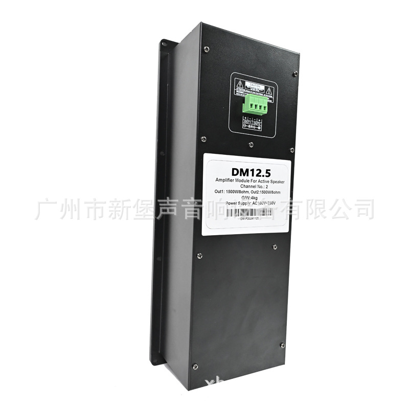 Amplificador profesional de clase D de doble canal de 1200W 500W Módulo de altavoz activo DSP con altavoz de matriz de línea de 10 pulgadas