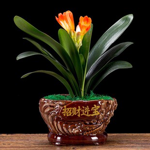 �����m������m�����҃Ȼ��ܾGֲ���Ի��ܾ����m�����m�����m����