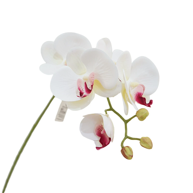 3D-Printed Phalaenopsis Artificial Flower Stem, Realistic Touch, 36 cm, 6-Bloom