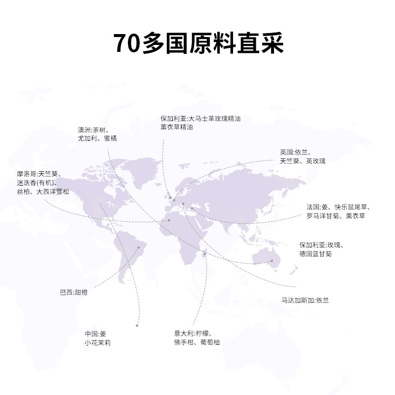 ローズゼラニウム単一精油10ml フェイシャル＆ボディマッサージオイル アロマセラピー スキンケア 原料卸売|undefined