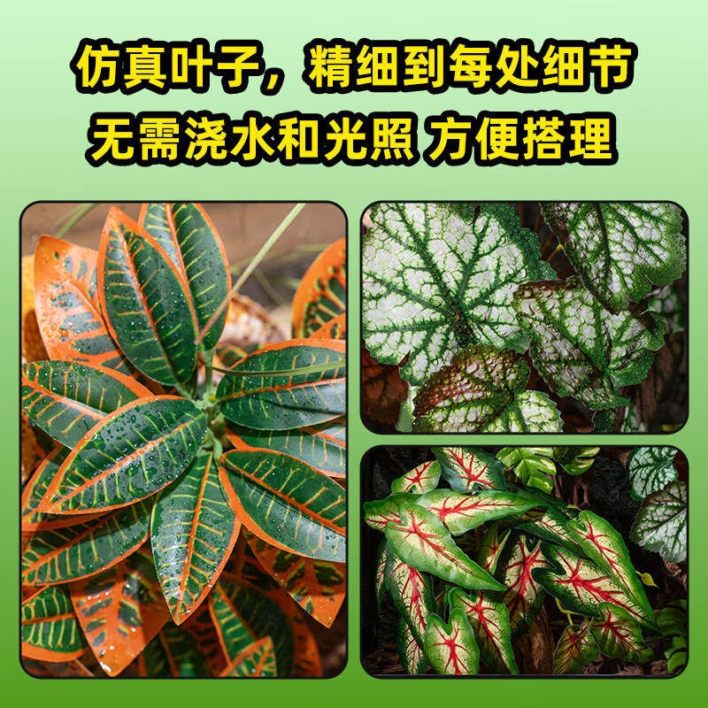 iluminación de chispa escalar caja de simulación de plantas verdes paisajismo escalar mascota decoración ventosa tortuga hoja de paisajismo planta de ángulo ciliar guardian palacio