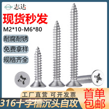 316不锈钢十字槽沉头自攻钉平头家具木工螺丝尖尾全牙螺钉M6批发