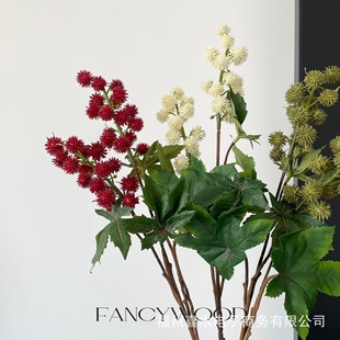 ����С���� ��ˇ�OӋ�����~�� ���ĸ�up �Ĕz���� ��Ȼ�L