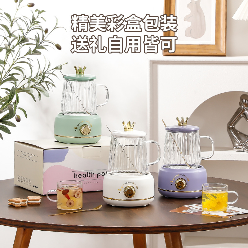 Health Pot Household Multifunctional Small Tea Cooker Office Automatic Glass Flower Tea Mini Stew Pot Wholesale