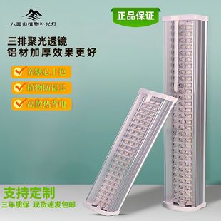 led full spectrum plant lens fleshy growing light greenhouse flower seedling plant supplement light fleshy supplement light