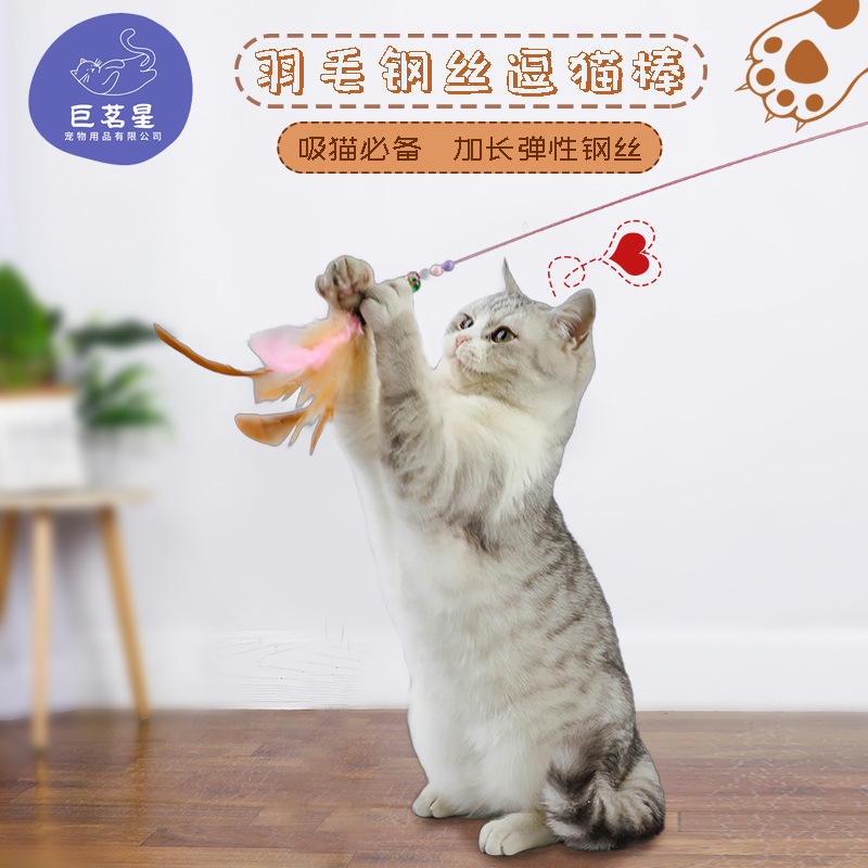 猫のおもちゃは猫の棒のワイヤーの羽を換えて頭の真珠の鈴をプラスして長く噛んで釣ります猫のインタラクティブな現物の卸売りに耐えます。|undefined