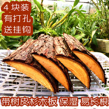 �K�b ����Ƥɼľ��Nֲʯ�������mľ�� ��ˮ����ܺ��L����