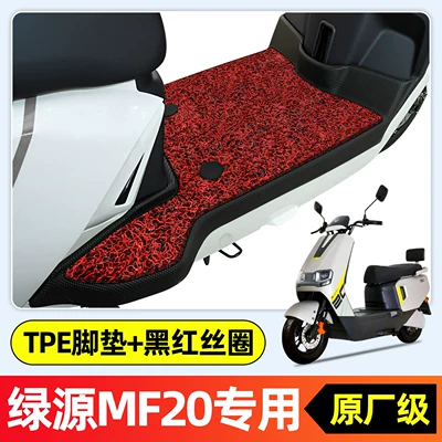 decorative accessories collection, Electric vehicle foot mat - special-for-green-source-f20mf20new-modeldouble-layer-full-coverageoriginal-factory-grade-tpe-floor-mat-black-and-red-wire-loopr256