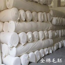 ���lȫ��ƽ�yᘿ����������ݼyëȦ�����l��ë����沼�r��