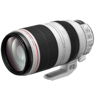 �m��EF100-400mm f/4.5-5.6L IS II USM�h�z׃�������R�^ �5D4