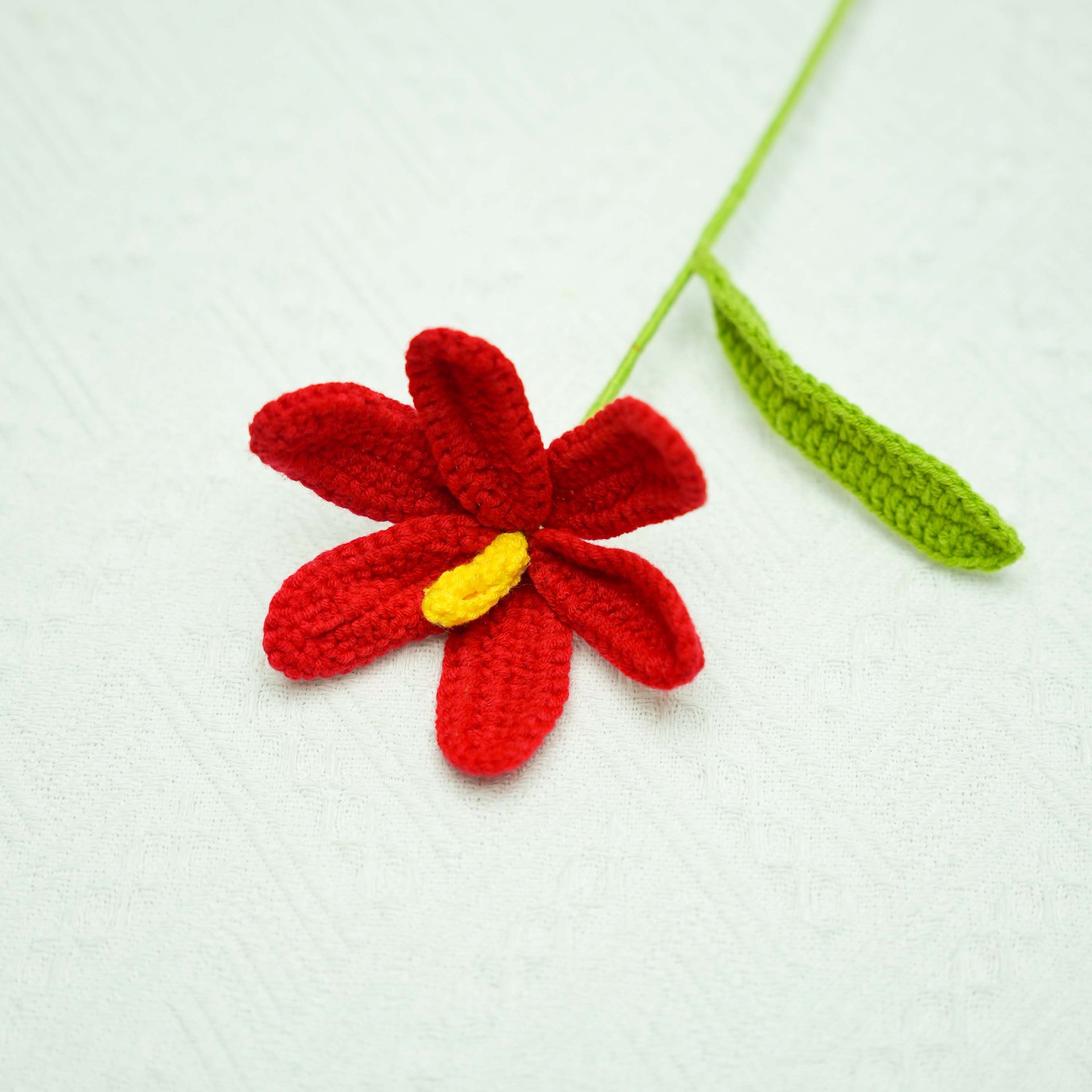 빨간색 오픈 튤립