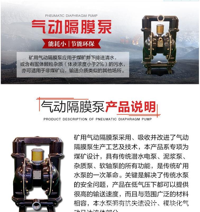 气动隔膜泵21 (1).png