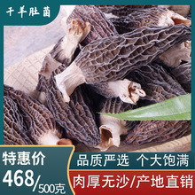 雲南特產特級羊肚菌干貨非鮮貨1000g菌菇煲湯食材非野生