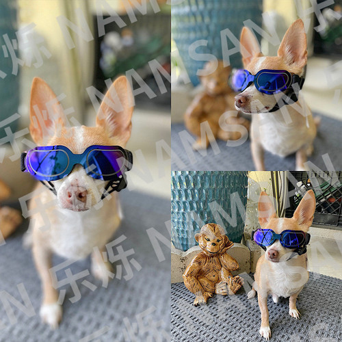Pet Supplies Colorful Dog Glasses Sunglasses Amazon Cat Sunglasses Pet Glasses Manufacturer Wholesale
