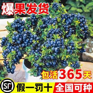 �����l�{ݮ����������{÷���玧�����ݮ�҃��ͺ��ϱ����ļ��Y��