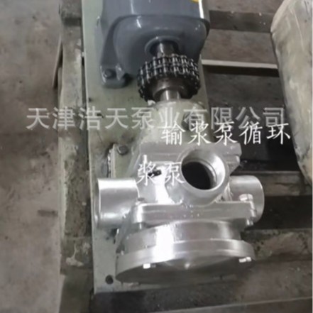 输浆滑片泵TDSJH 柴油 汽油 化工原料 清水 污水 废水 轻油滑片泵