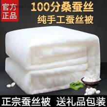 天然蚕丝被100%正品桑蚕丝子母被二合一春秋被冬被加厚亲肤婚庆