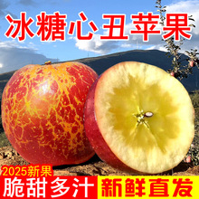 盐源丑苹果四川大凉山冰糖心新鲜水果当季整箱产地直发高山红富士