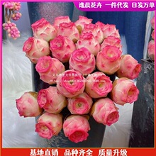 𻨘҃ͥԺGֲļyϱԝϘ