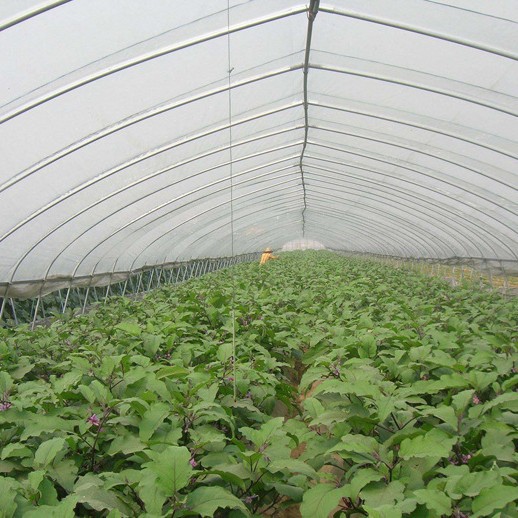 供应塑料薄膜多功能大棚膜黑白膜农地膜西瓜膜葡萄膜草莓膜银黑膜