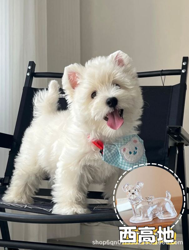 ペット柴犬メカテディカウボーイ刺繍ベレー帽レース子犬かわいいスカーフよだれかけ猫プリンセススタイル|undefined