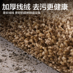 Cross-border simple wear-resistant and dirt-resistant entrance door mat floor mat home-use entrance door mat anti-slip entrance hall carpet 