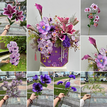 ��ɫ��������Ͱ���滨�S�����l ��ɫ�{ɫ�����L����Ҿ��bٻ�