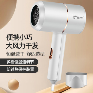 Deliya Hair Dryer Household High Wind Speed Drying Hair Dryer Large and Small Power Hair Dryer Gift Delivery