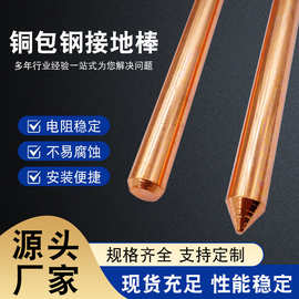 铜包钢接地棒铜覆钢国标产品铜层厚度0.25水平接地线防雷接地棒