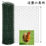 PVC六角网鸡笼网 过塑铁丝网六角金属涂塑网Hexagonal wire mesh