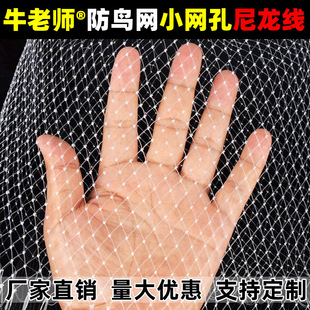 ���B�W���������B�õľW�������������י��Ҙ�W�֘��~���Bֳ�W