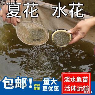 ˮ���~�����l�a�~�~���~���^�����������~���~����~�N���~