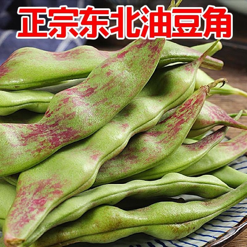 【大甩卖】东北油豆角蔬菜新鲜当季九月紫花油豆角买菜超宽包邮|undefined