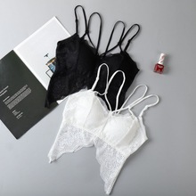 2024ļ¿ٽz첱طʽVͽ Ů