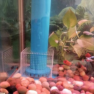 �~�׷���С�~���o�ַ��o�W������ֱ�Ǔ����ֱ��o�����~���Mˮ��