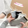 透气新品春夏可爱女袜
