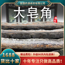 皂角中药材皂角荚干皂角皂荚夹猪牙皂大皂角纯天非野生然粉洗头发