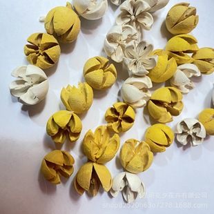 Pistachio cross fruit dried flower diy fruit flower wreath material package flower material