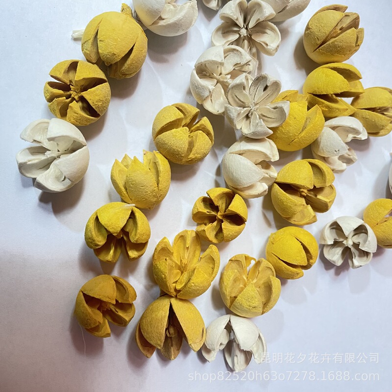 Pistachio cross fruit dried flower diy fruit flower wreath material package flower material Pistachio cross fruit dried flower diy fruit flower wreath material package flower material