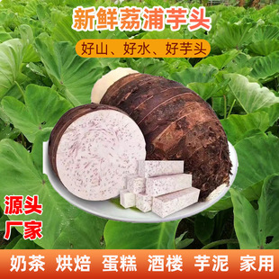 �V���خa�������^���l����������ܛ����Ŵ�a��ֱ�l�Fժ�F�l�߲�
